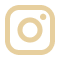 Icone instagram